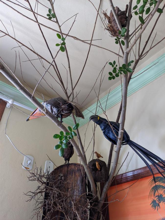 Hotel Pousada Guaypora กวาราปารี ภายนอก รูปภาพ